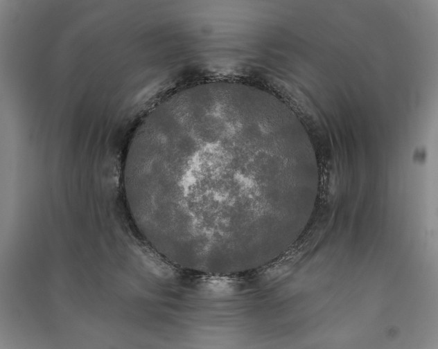 X0000091350710200708171431