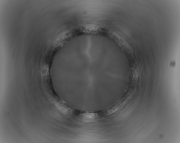 X0000091350711200708171431