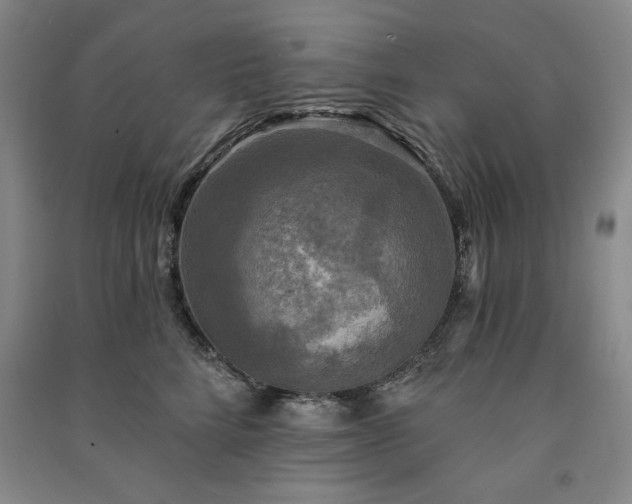 X0000091350712200708171431