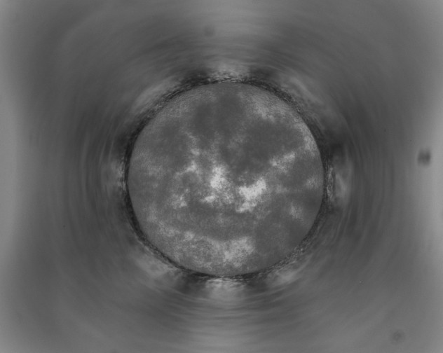 X0000091350714200708171431