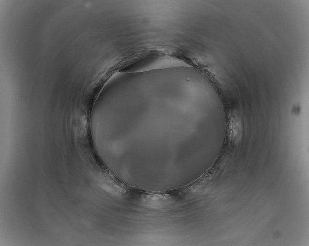 X0000091350716200708171431
