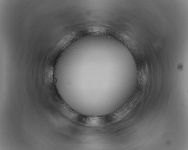 X0000091350717200708171431