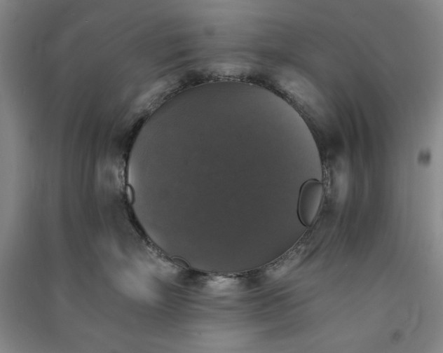 X0000091350718200708171431