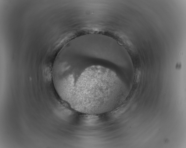 X0000091350719200708171431