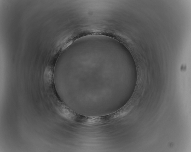 X0000091350720200708171431