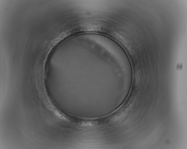 X0000091350721200708171430