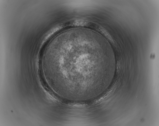X0000091350722200708171430