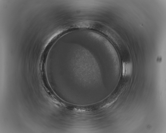 X0000091350723200708171431
