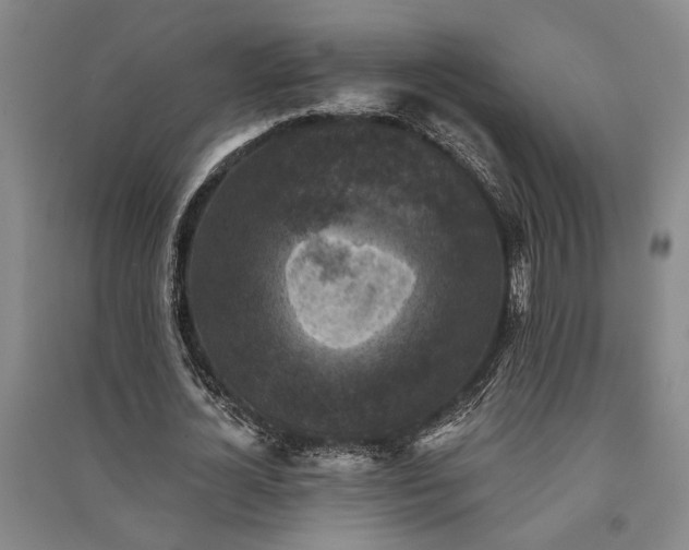 X0000091350724200708171431