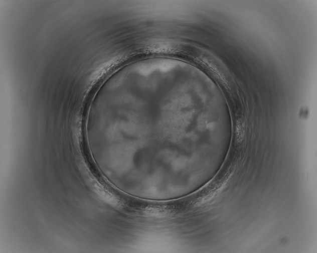 X0000091350725200708171431