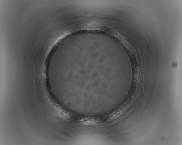 X0000091350727200708171431