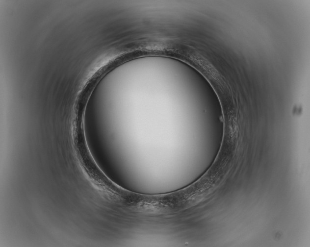 X0000091350728200708171431