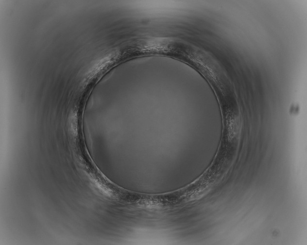 X0000091350729200708171431