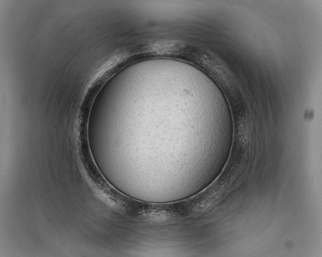 X0000091350730200708171431