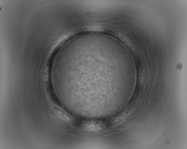 X0000091350731200708171431