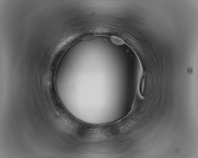 X0000091350732200708171431