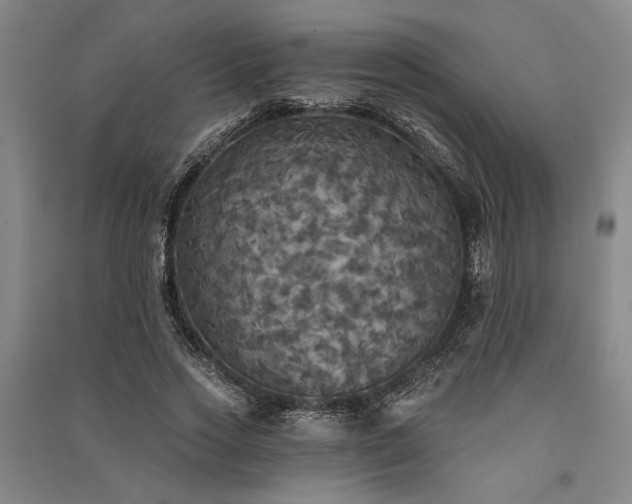 X0000091350733200708171431
