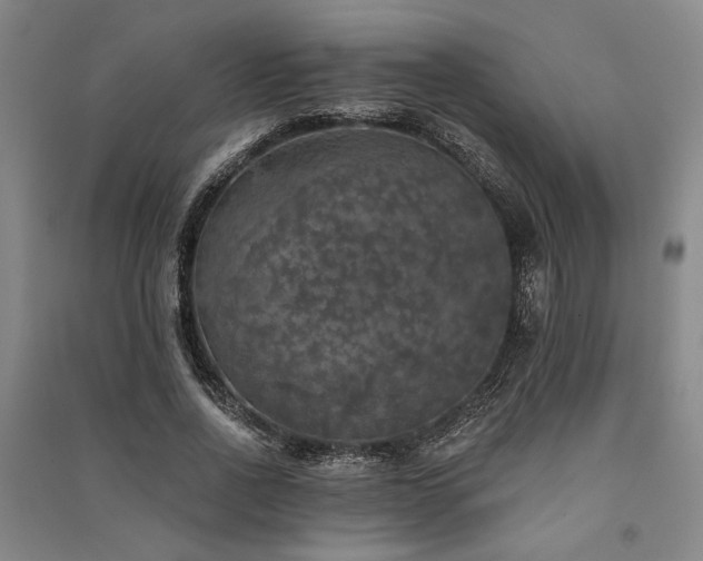 X0000091350734200708171431