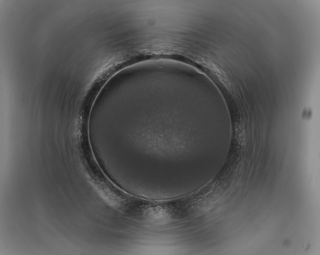X0000091350735200708171431
