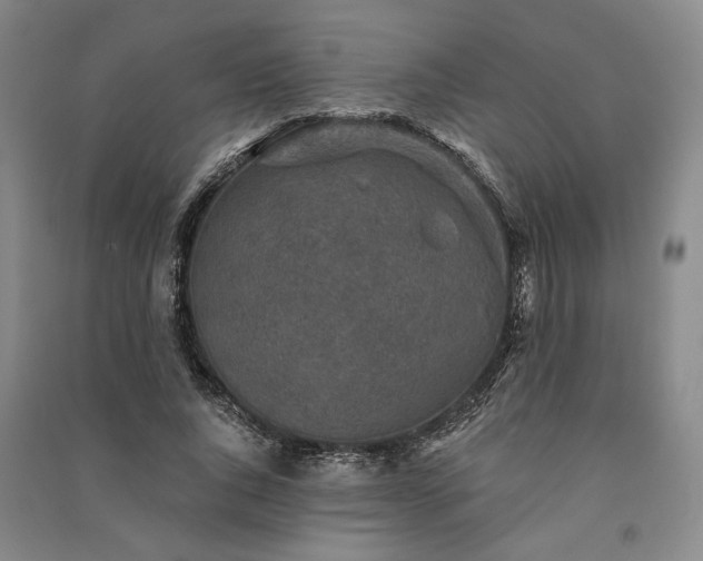 X0000091350736200708171431