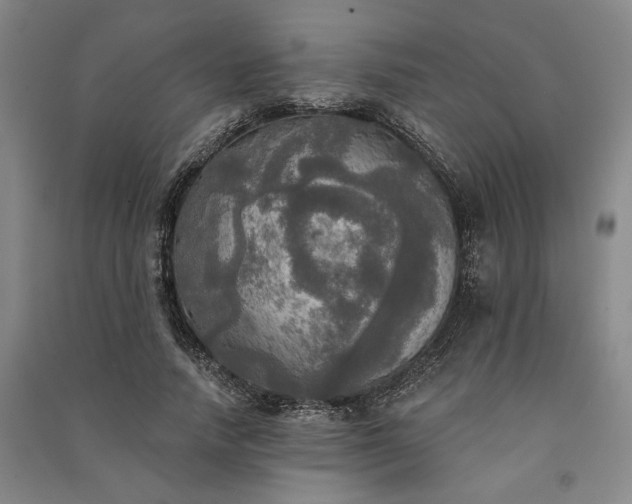 X0000091350738200708171431