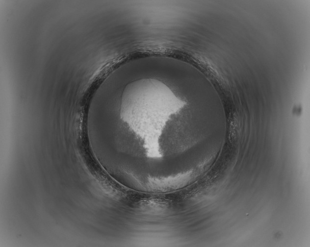 X0000091350739200708171431