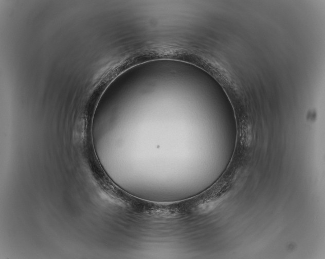 X0000091350740200708171431