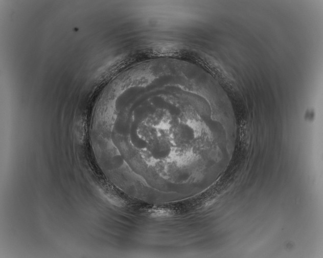 X0000091350741200708171431