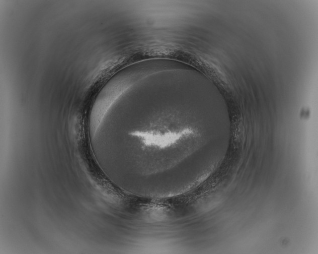 X0000091350743200708171431