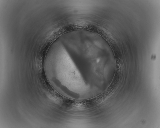 X0000091350745200708171431