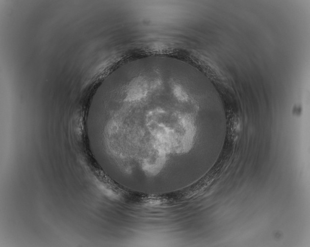 X0000091350746200708171431