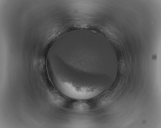 X0000091350747200708171431