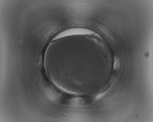 X0000091350748200708171431
