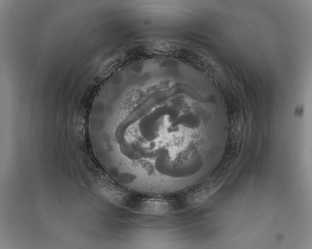 X0000091350749200708171431