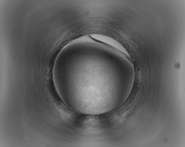 X0000091350750200708171431