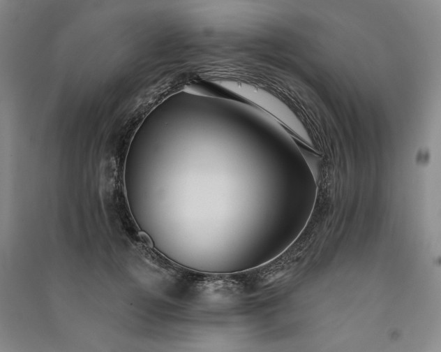 X0000091350752200708171431