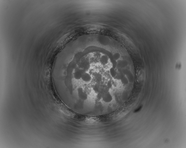 X0000091350753200708171431