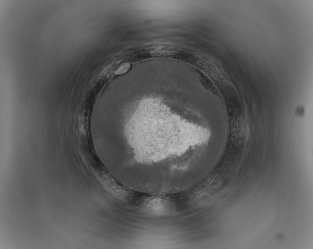 X0000091350755200708171431
