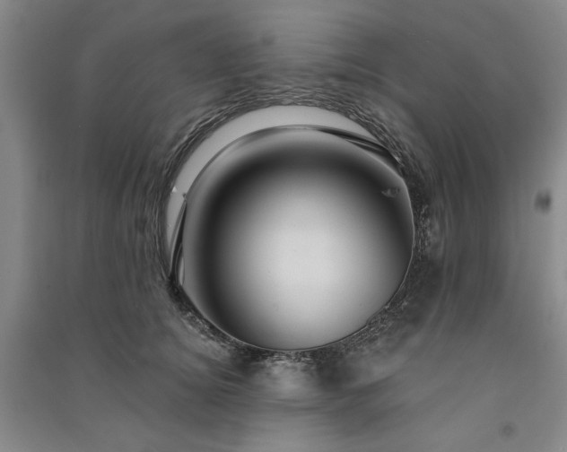 X0000091350756200708171431