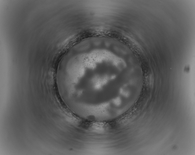 X0000091350757200708171431