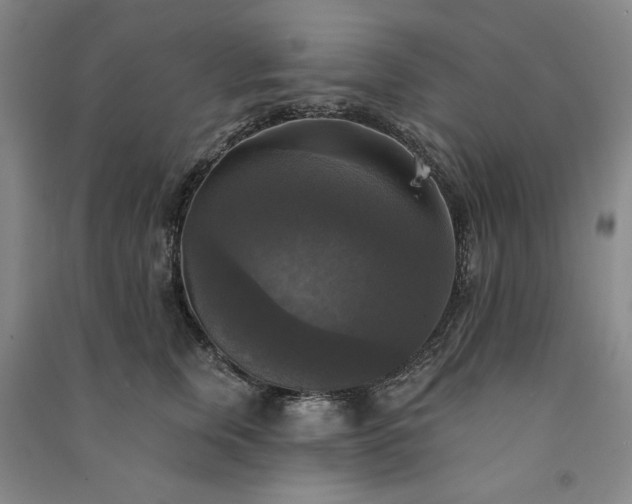 X0000091350759200708171431