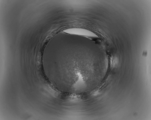X0000091350760200708171431