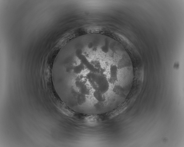 X0000091350761200708171431