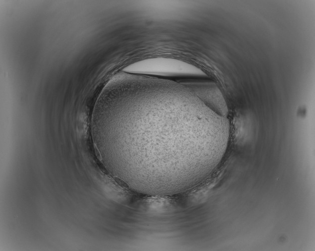 X0000091350762200708171431