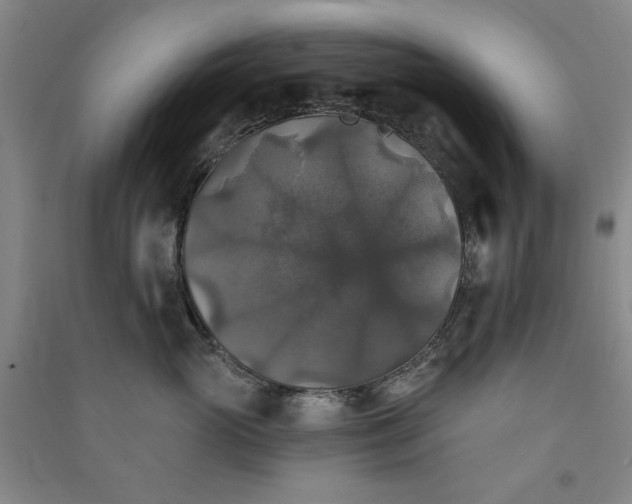 X0000091350765200708171431
