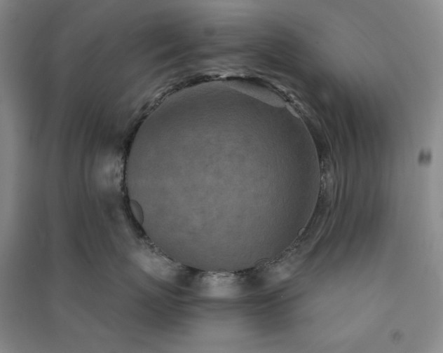 X0000091350767200708171431