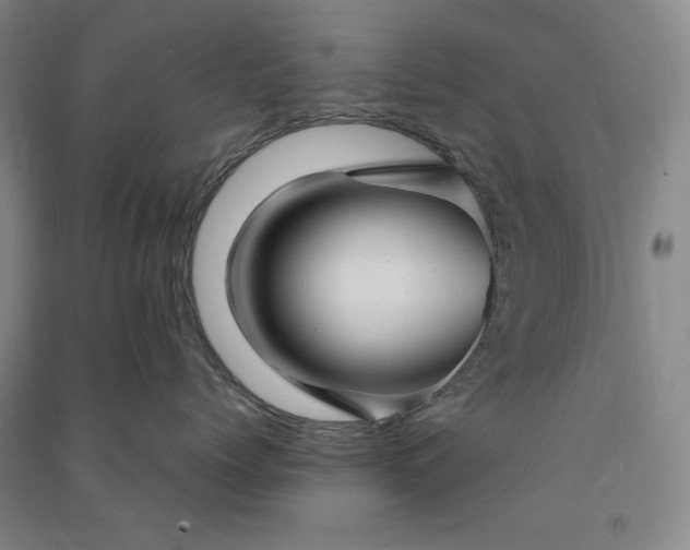 X0000091350768200708171431