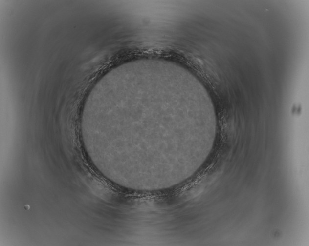 X0000091350769200708171430