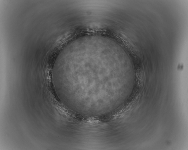 X0000091350770200708171430