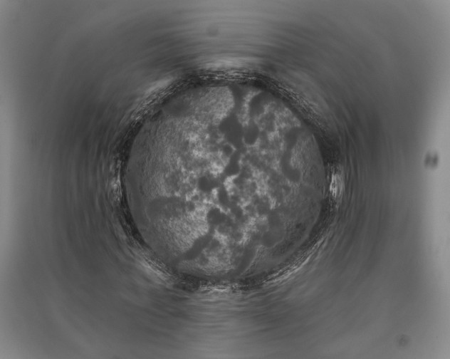 X0000091350771200708171430